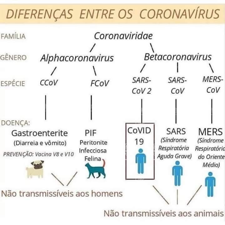 Especies_de_Corona_Virus